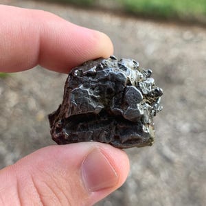 El Campo del Cielo Meteorite Argentina Mineral Specimen