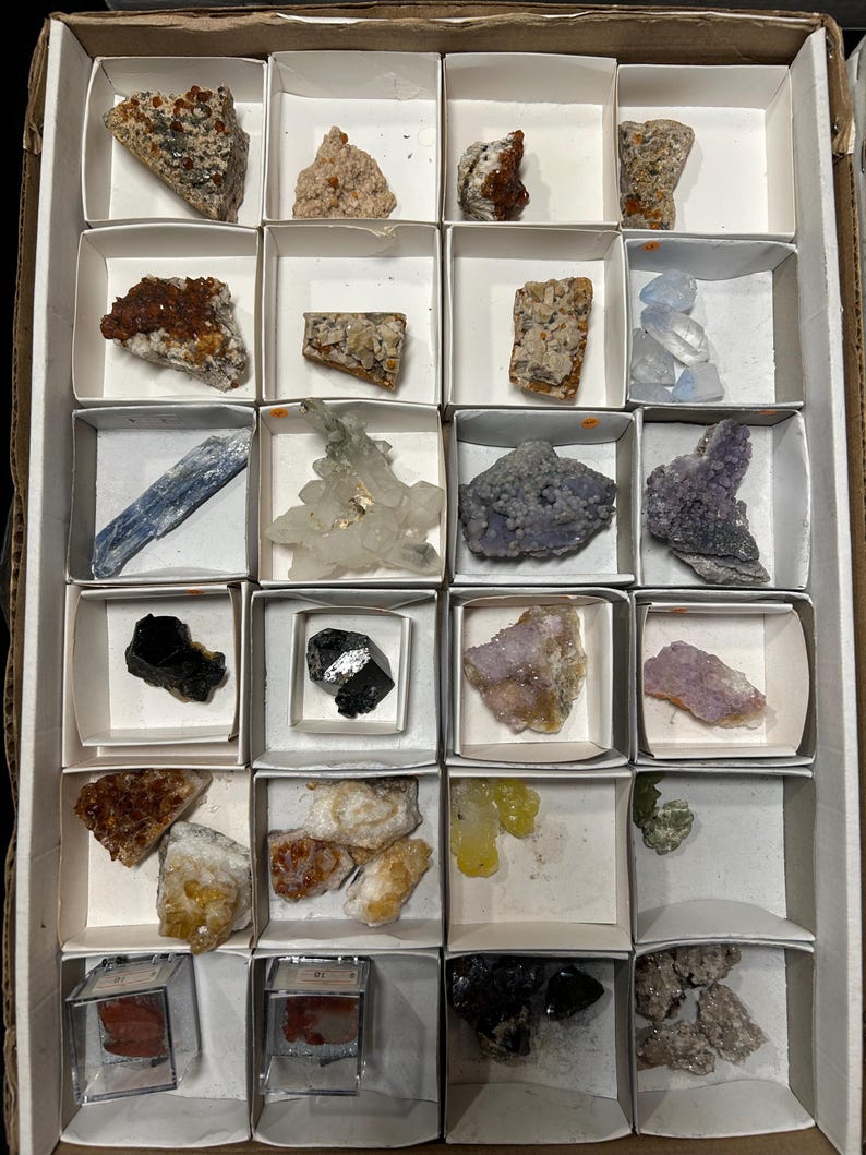 Orgainized Rocks Wholesale Crystal Mineral Specimen Rock Collection - Etsy