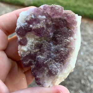 Navidad Fluorite Durango Mexico Mineral Specimen