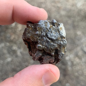 El Campo del Cielo Meteorite Argentina Mineral Specimen