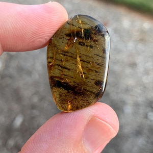Polished Amber Chiapas Mexico Mineral Specimen