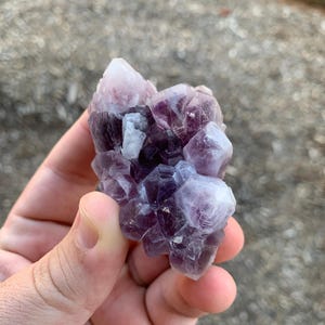 Guerrero Amethyst Cluster Mexico Mineral Specimen