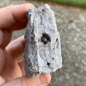 Spessartine Garnet Rhyolite Matrix Garnet Hill Nevada USA Mineral Specimen