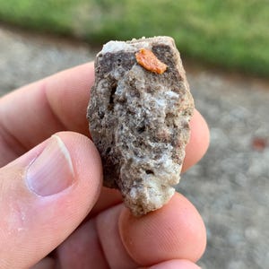 Red Cloud Wulfenite Arizona USA Mineral Specimen