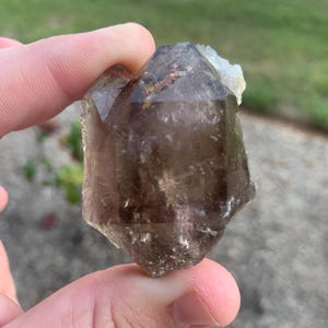 Smoky Quartz Terminated Crystal Hallelujah Junction California USA Mineral Specimen