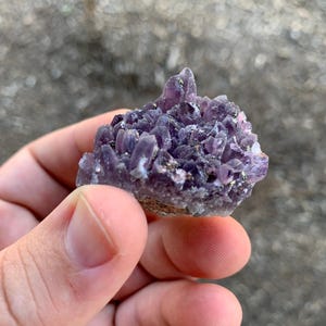 Chala Mine Pyrite and Amethyst Cluster Bulgarian Mineral Specimen