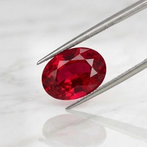 Puede incluir: Un rubí de talla ovalada, sostenido por unas pinzas plateadas. La gema, de color rojo intenso, presenta múltiples facetas que reflejan la luz. El rubí se encuentra sobre una superficie blanca y reflectante.