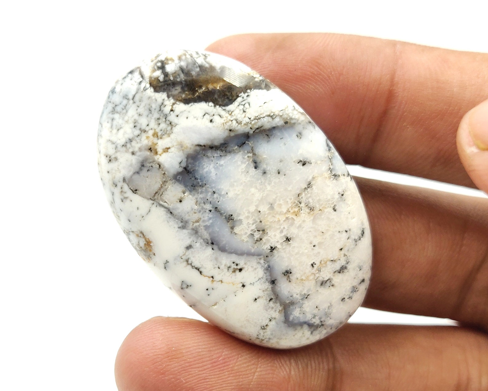 adult dendrite opal adult dendrite opal