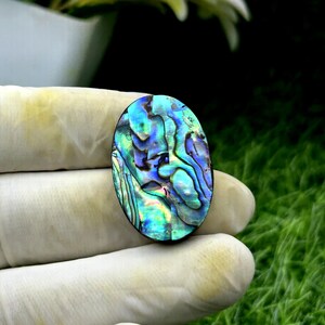 Cabochão de concha de abalone natural – Pedra preciosa atraente para artesãos | Perfeito para joias personalizadas, presente de pedra preciosa solta para mulheres