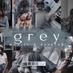 10 Grey Mobile & Desktop Lightroom Presets, Black and White Presets, Ash Presets, Lifestyle Presets for Instagram Blogger and Influencer