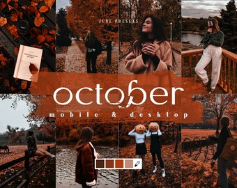 15 October Mobile & Desktop Lightroom Preset, Moody Orange Presets, Fall Preset, Halloween Preset for Instagram Influencer and Blogger