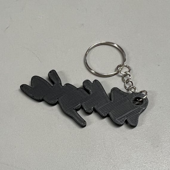 Kawasaki Ninja Motorcycle Keyring Keychain for Ninja Enthusiasts 3d Printed