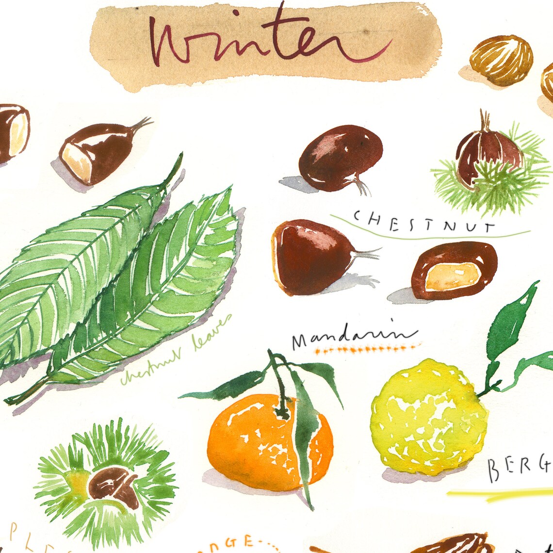 Seasonal food print set of 4 posters In season fruit prints Etsy
