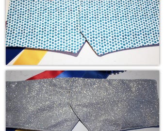 Shadbelly Points, Silver lamé and turquoise dots, Points for Derby, Dressage Points, Reversible, added length-see description