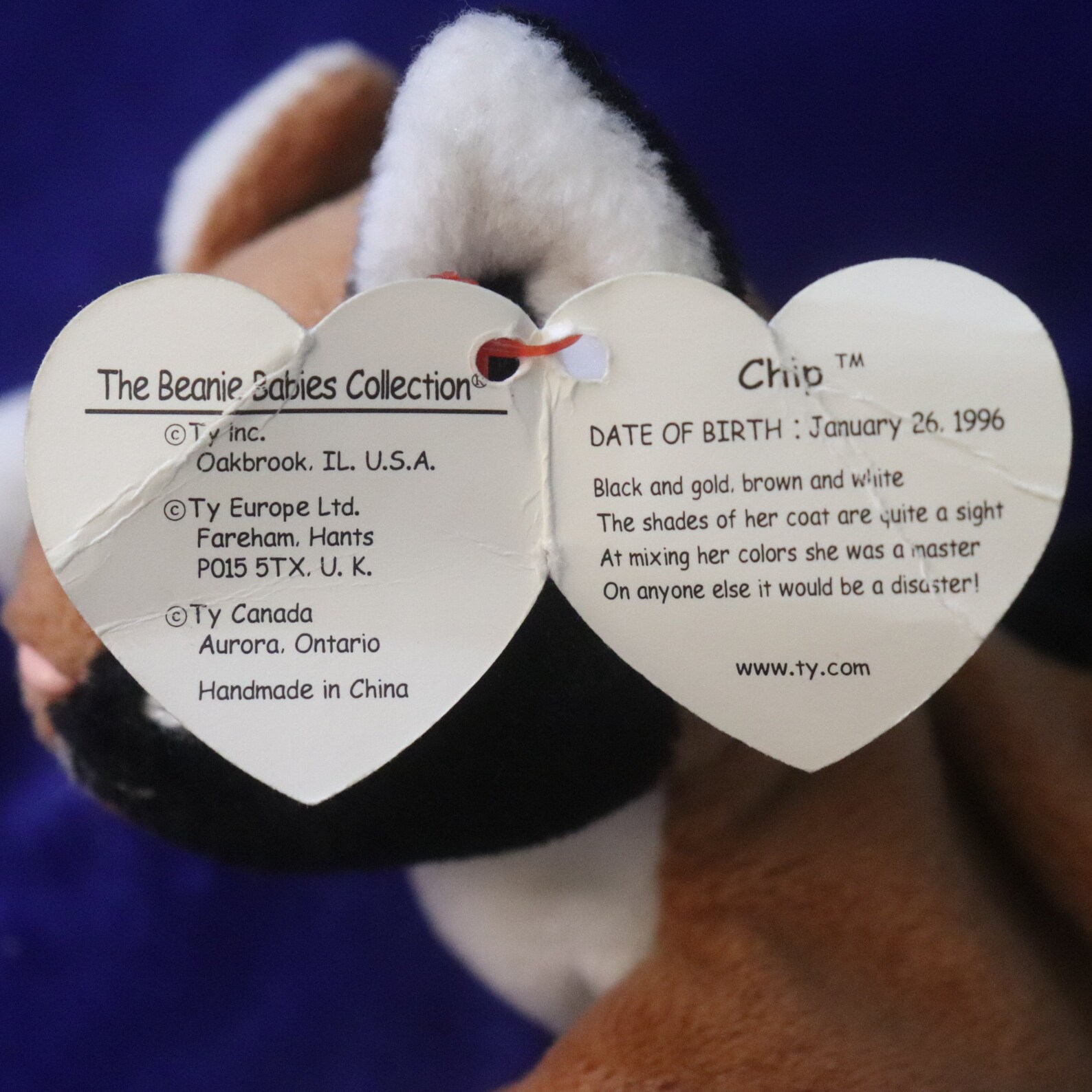 Ty Beanie Babies Chip DOB January 26 1996 P.E. Pellets Etsy