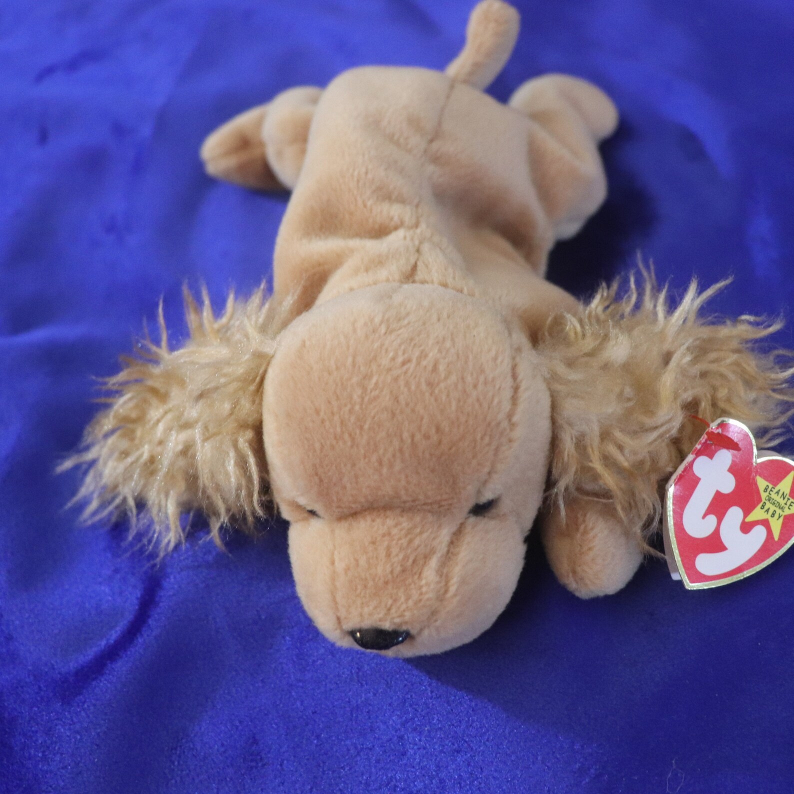 Ty Beanie Babies Spunky DOB January 14 1997 P.E. Pellets Etsy