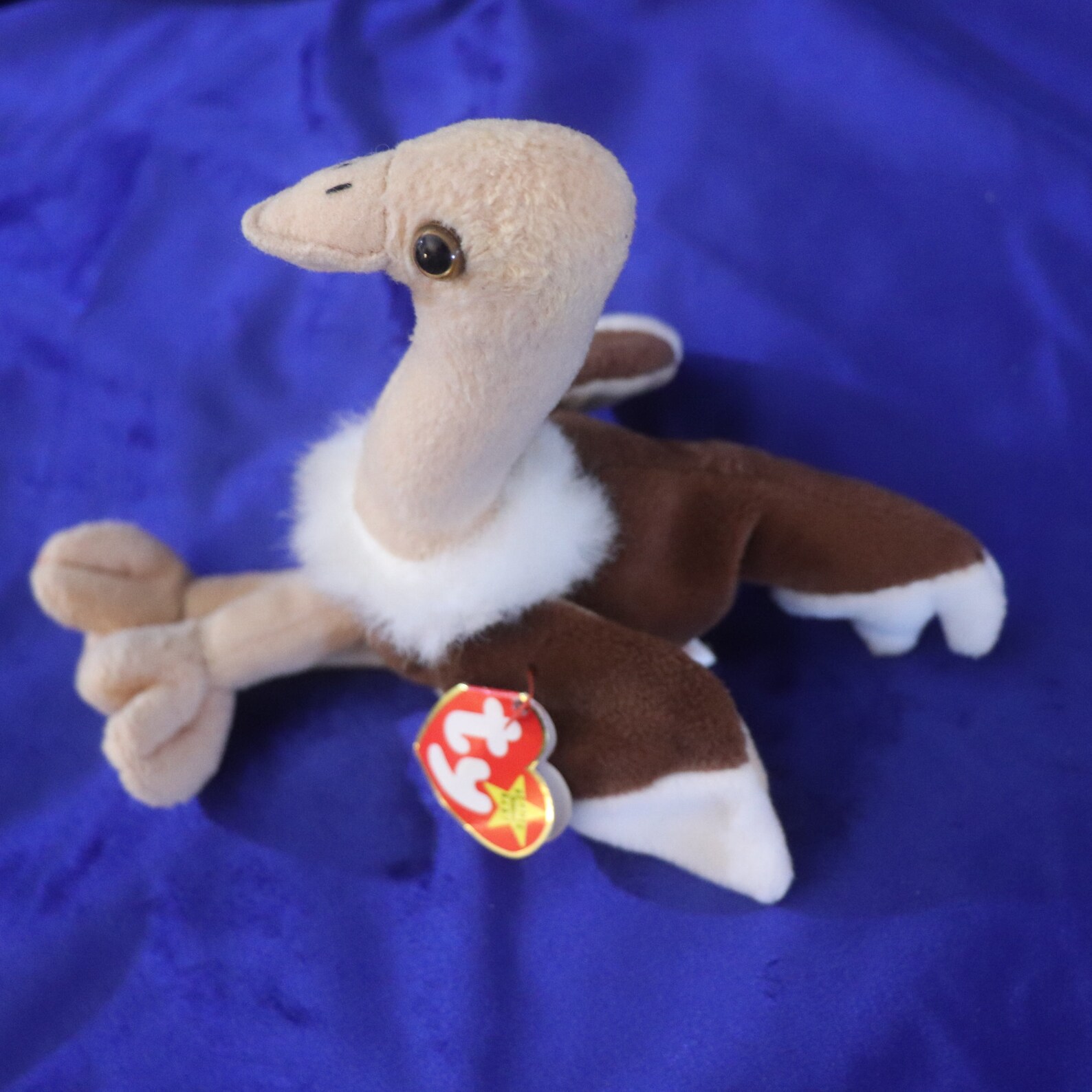 Ty Beanie Babies Stretch DOB September 21 1997 P.E Pellets Etsy