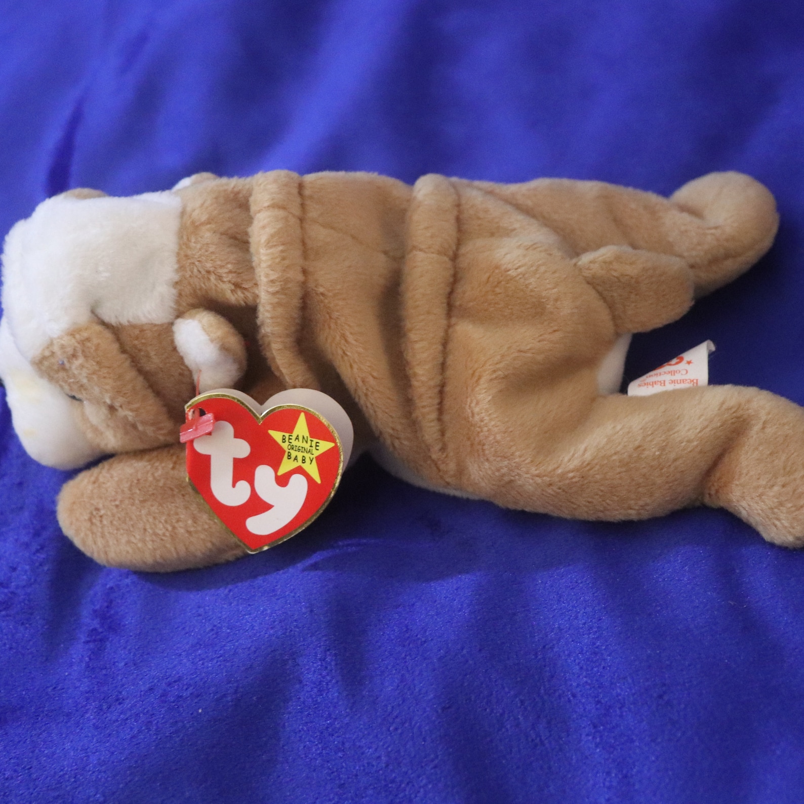 Ty Beanie Babies Wrinkles DOB May 1 1996 PVC Pellets Etsy