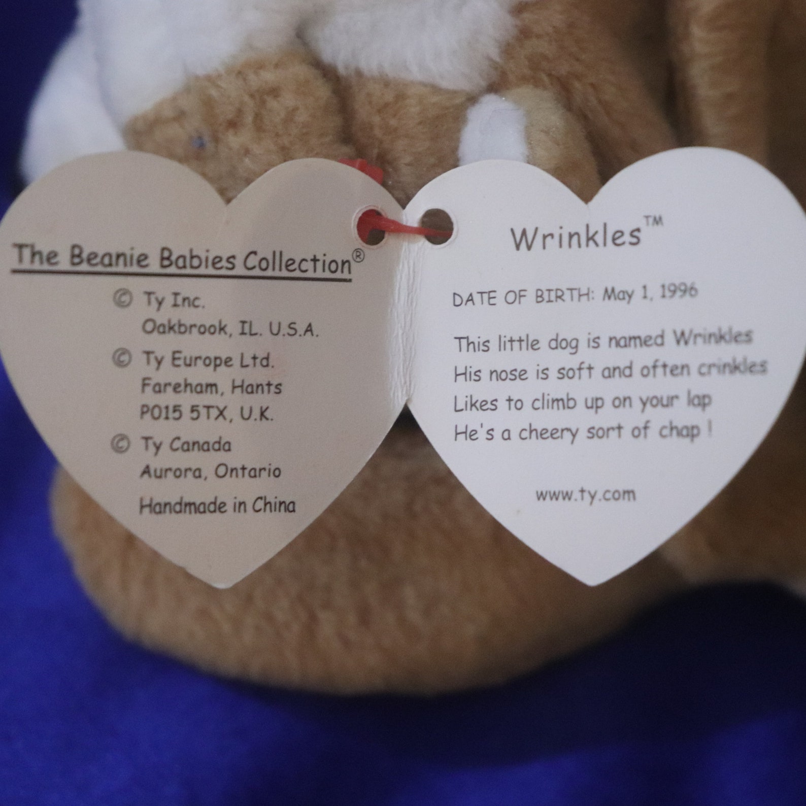 Ty Beanie Babies Wrinkles DOB May 1 1996 PVC Pellets Etsy