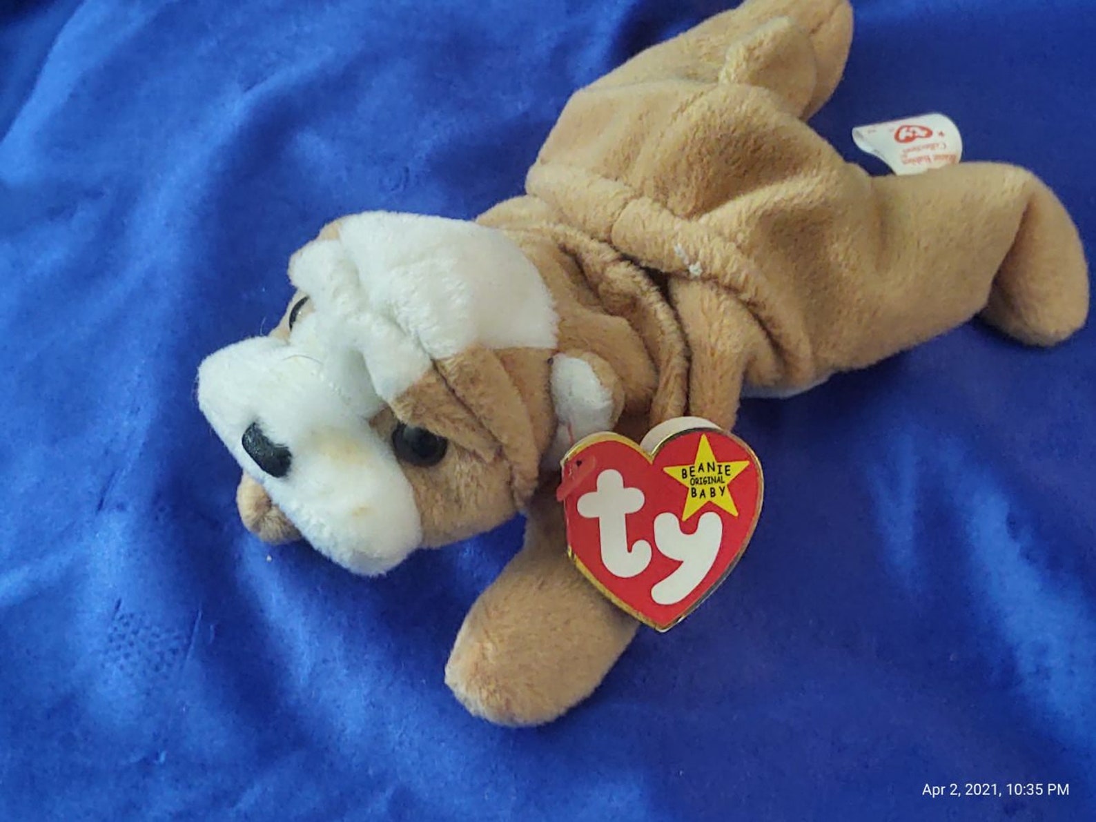 Ty Beanie Babies Wrinkles DOB May 1 1996 PVC Pellets Etsy