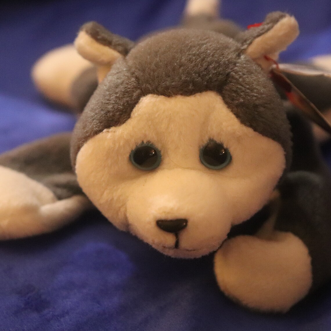 doudou ty date de naissance