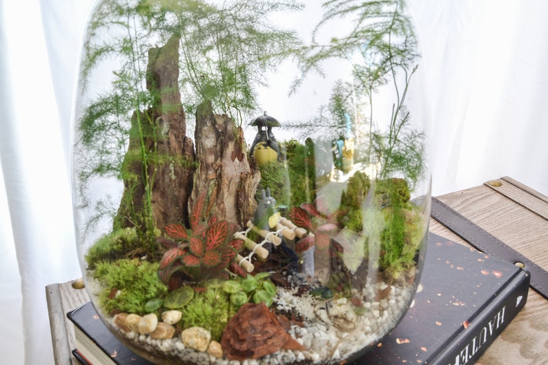 Kit terrarium 3 plantes DIY Japanoscope & Bocal bild 5