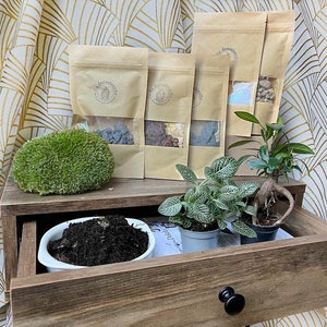 Peut inclure: Un tiroir en bois avec une poignée noire est ouvert, révélant un petit pot de terre et deux plantes en pot. Le tiroir est sur une étagère en bois avec quatre sacs en papier brun contenant différents types de terre. Les sacs portent un logo qui dit "Les Amoureux".