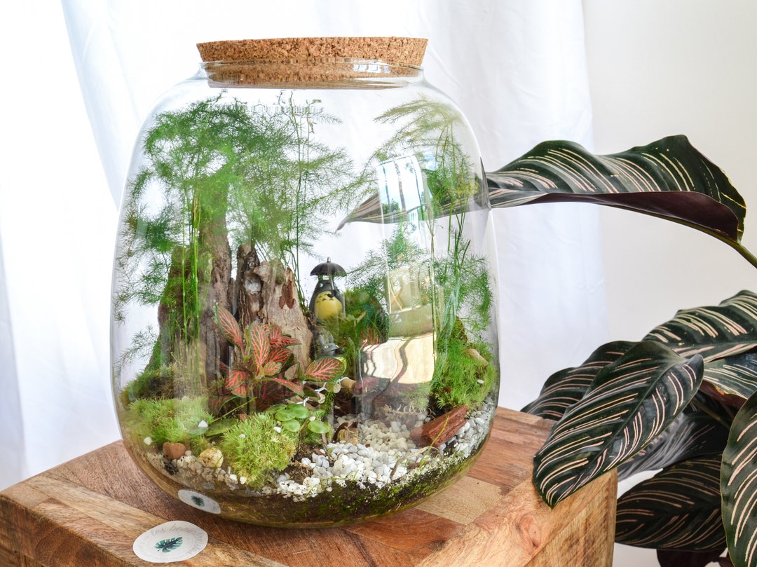 VICASKY Bouteille En Verre Forme Œuf - Mini Terrarium Décoratif Pour Plantes, Mousse Ou Fleurs - Décoration Table Intérieur DIY