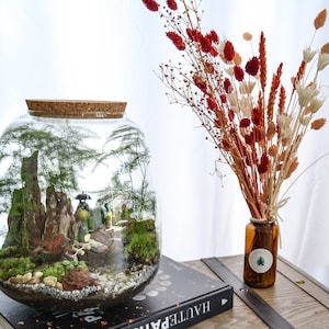 Kit terrarium 3 plantes DIY Japanoscope & Bocal bild 2