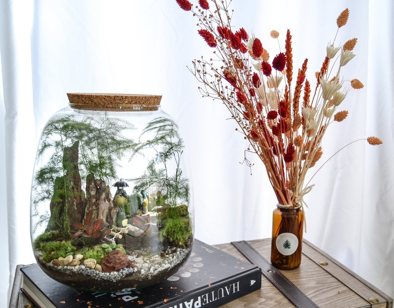 Kit terrarium 3 plantes DIY Japanoscope & Bocal bild 2