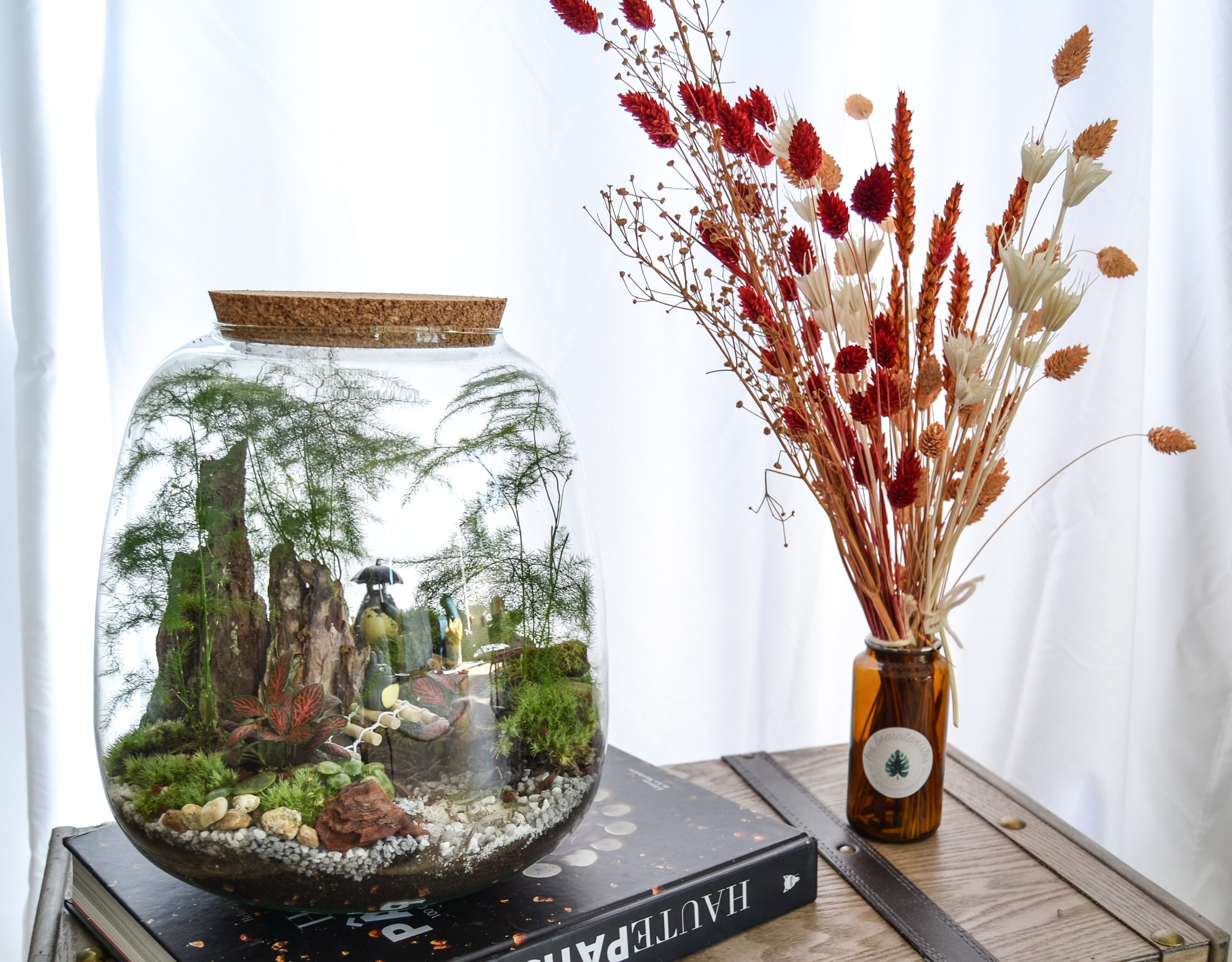 Kit Terrarium 3 Plants DIY Japanoscope & Jar 
