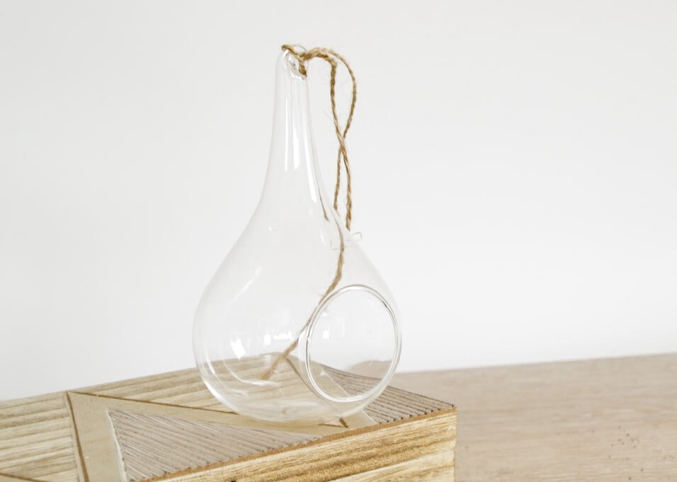 Mini Bocal Terrarium Goutte Suspendue