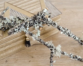 Décoration terrarium branche linchen en bois naturel