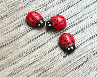 Figurines terrarium coccinelles