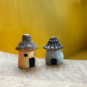 Figurine terrarium Maison