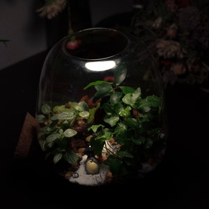 Totoro Umbrella terrarium figurine image 7