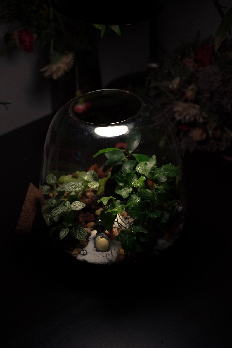 Totoro Umbrella terrarium figurine image 7