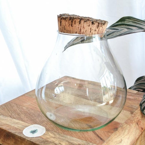 RECYCLED GLASS Jar 8l Cork Lid Storage or Terrarium Etsy UK