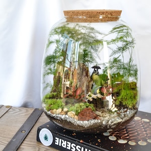 Kit terrarium 3 plantes DIY Japanoscope & Bocal bild 3