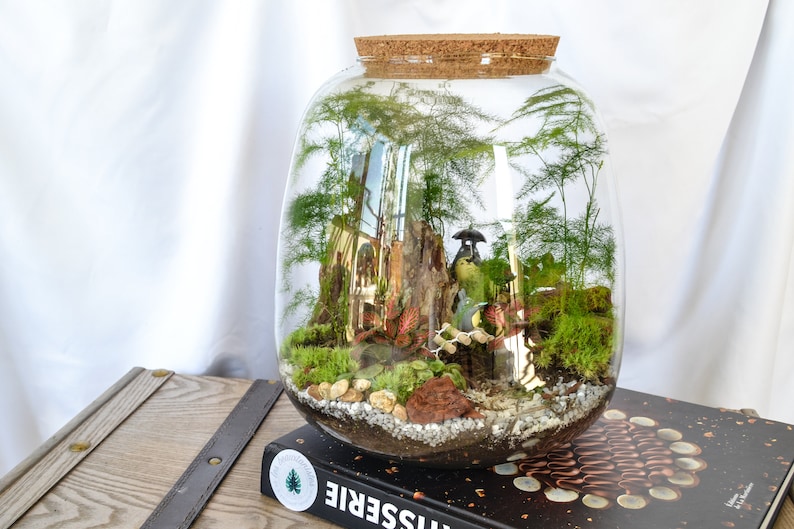 Kit terrarium 3 plantes DIY Japanoscope & Bocal bild 3