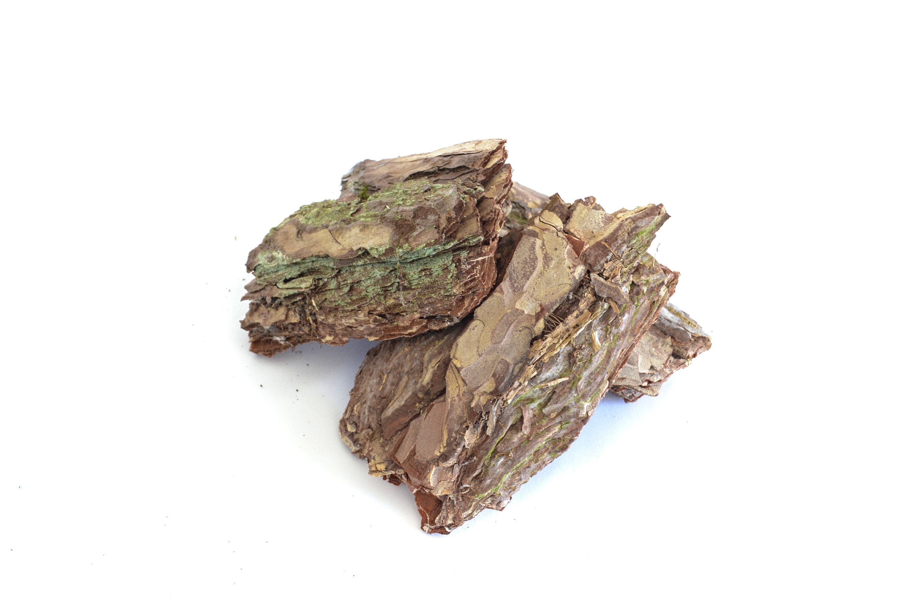 Décoration Terrarium Écorce de Sapin