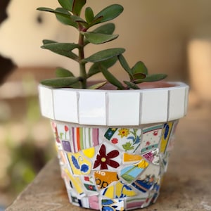 Puede incluir: Una pequeña planta suculenta en maceta en una maceta de mosaico. La maceta está decorada con piezas de cerámica coloridas y tiene un borde de azulejos blanco. La suculenta tiene hojas verdes con bordes rojos.