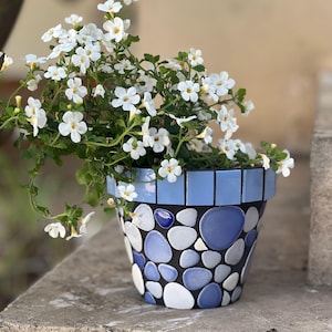 May include: A white flower plant in a blue and white mosaic flower pot. The pot is decorated with blue and white ceramic tiles in a pebble pattern.