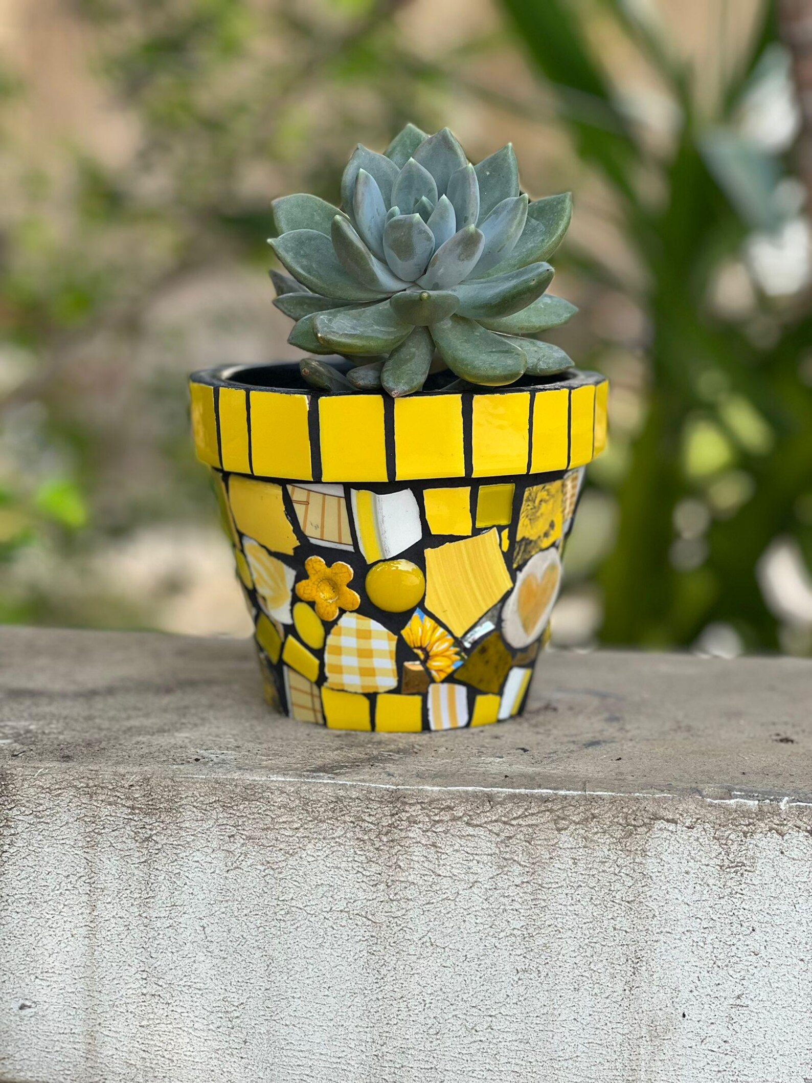 Yellow Fish Color Pot Yellow Mosaic Pot: Handmade Colorful Planter - Etsy
