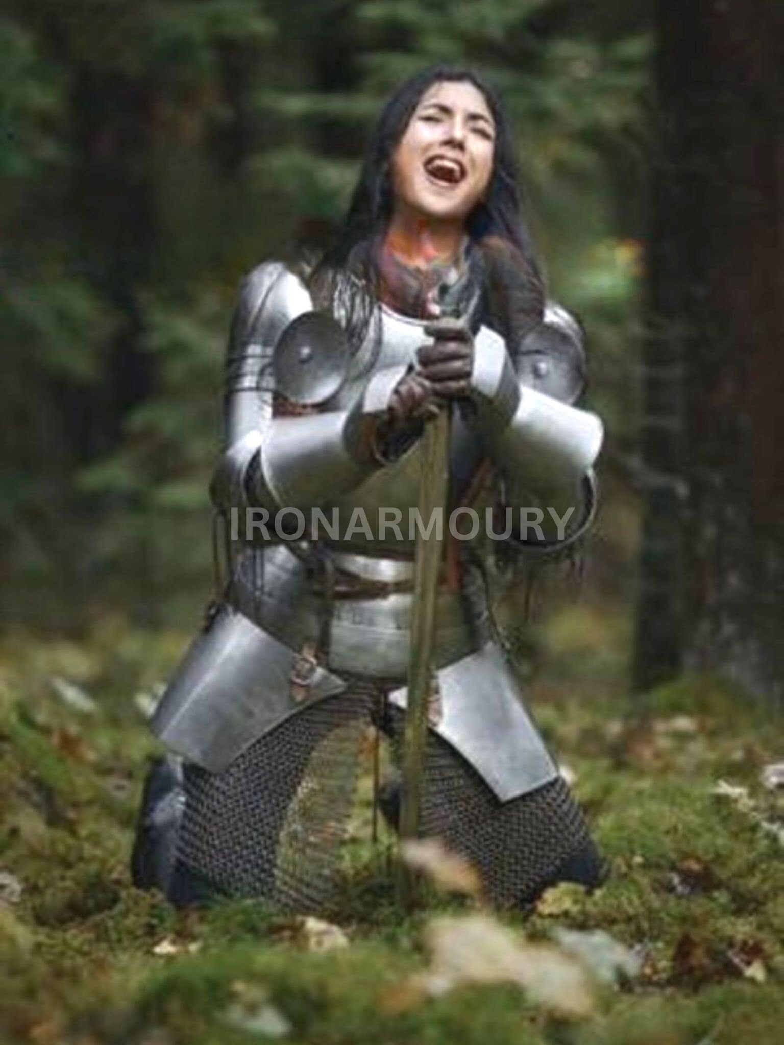 Female Knight Faux Chainmail Adult Costume – AbracadabraNYC