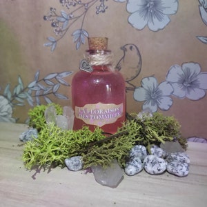 Peut inclure: Une bouteille décorative en verre remplie de liquide rose et de paillettes, étiquetée "LA FLORAISON DES POMMIERS". La bouteille a un bouchon en liège, de la ficelle et un charm en forme de cœur. Elle est entourée de mousse verte, de cristaux clairs et de petites pierres grises.