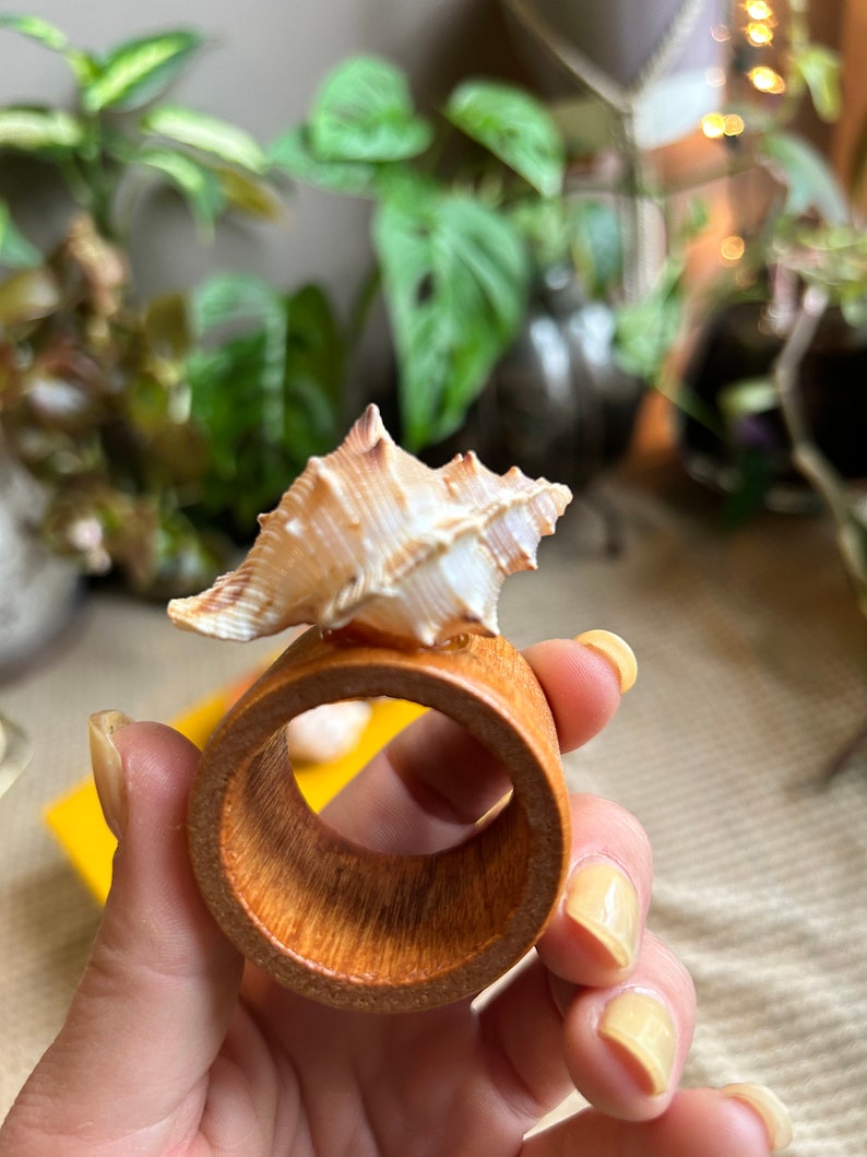 Set of 6 Seashell Napkin Rings - Etsy