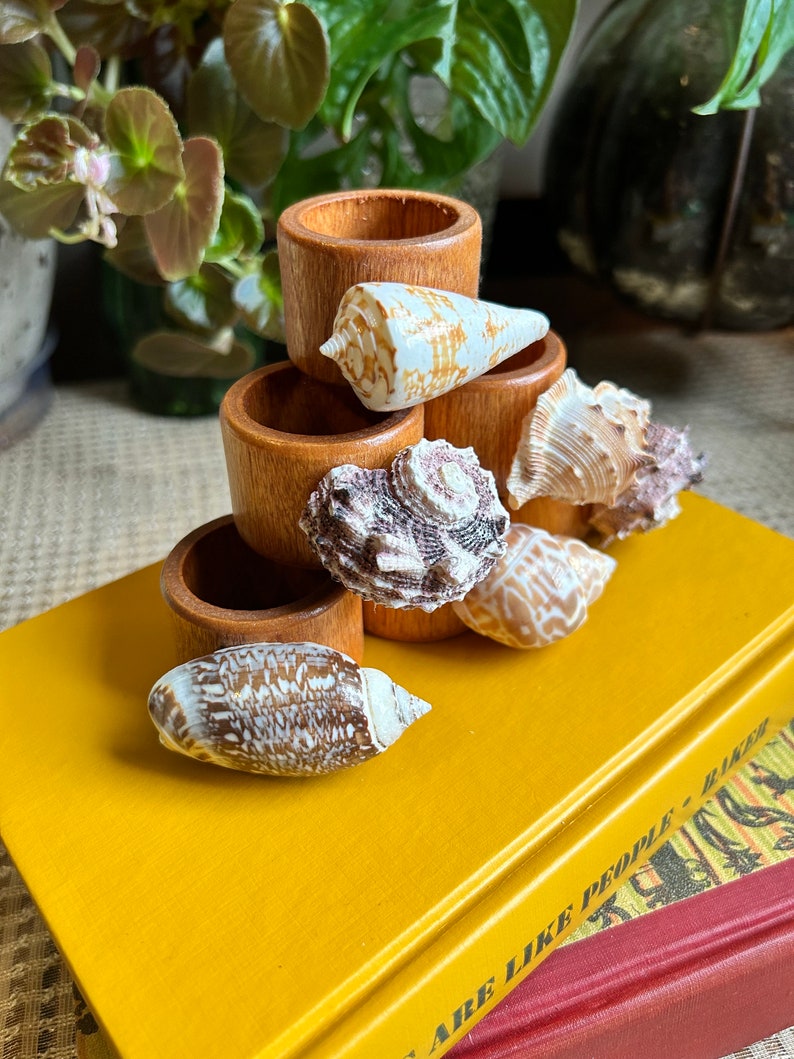 Set of 6 Seashell Napkin Rings - Etsy