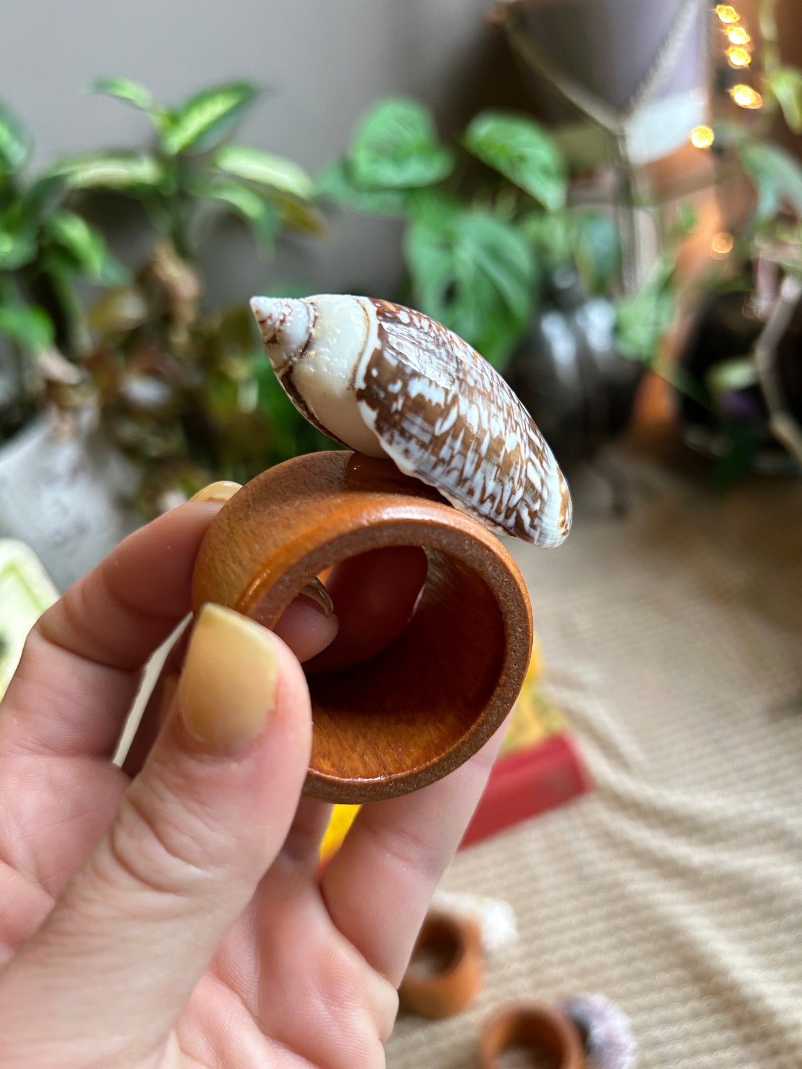 Set of 6 Seashell Napkin Rings - Etsy