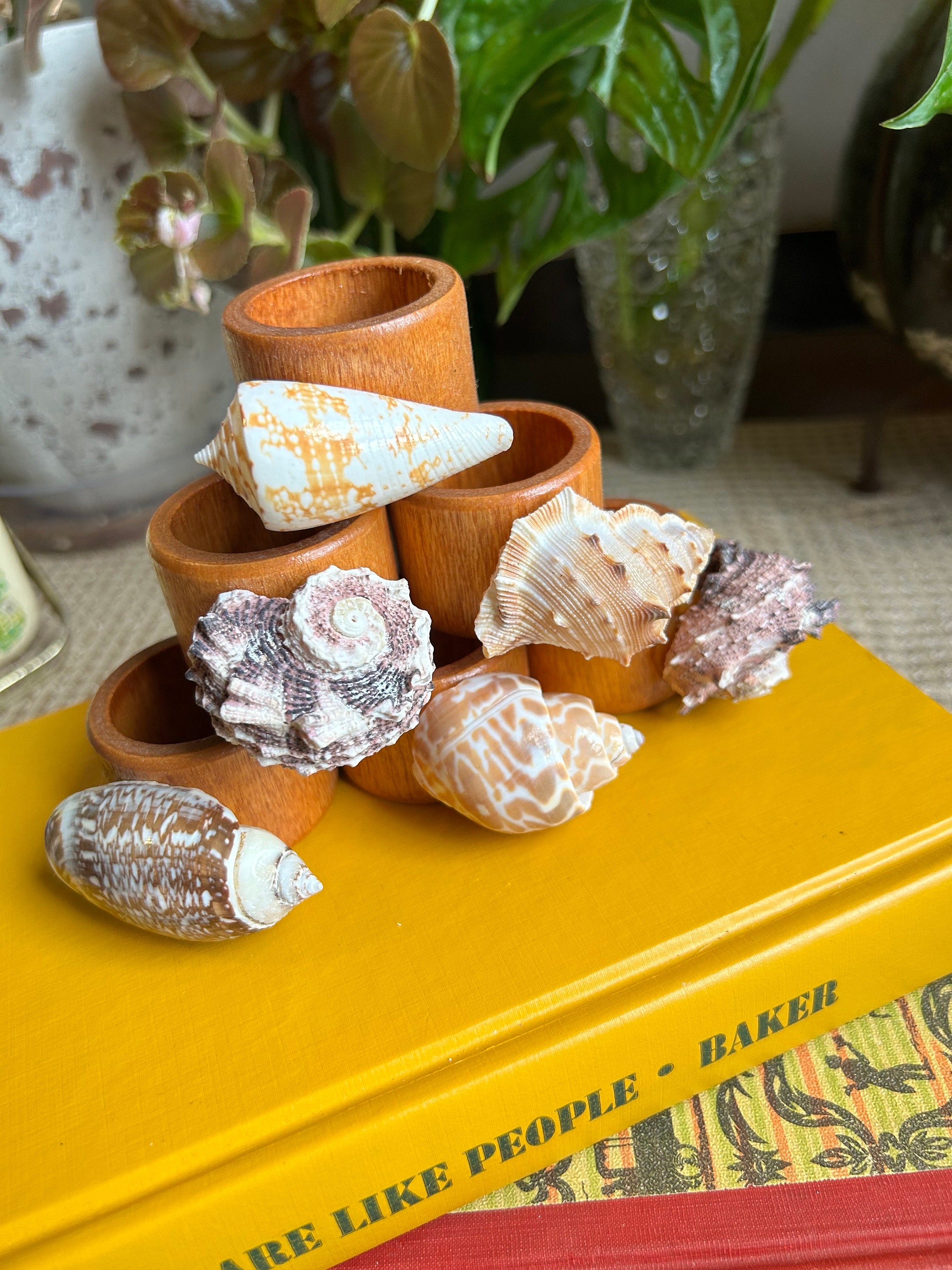Set of 6 Seashell Napkin Rings - Etsy